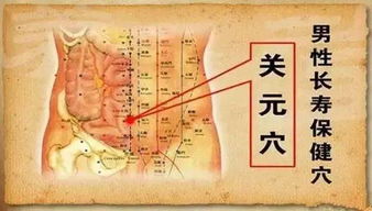配方解析：中草药学与芳疗学的完美融合