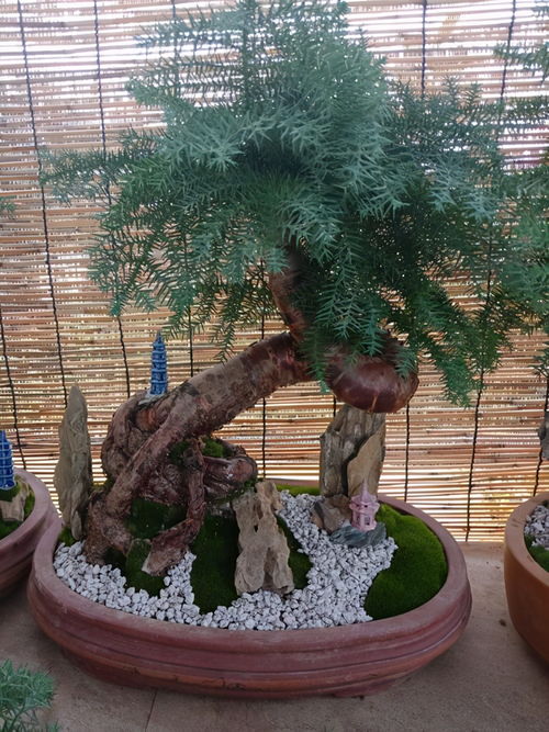 （二）客厅核心位置