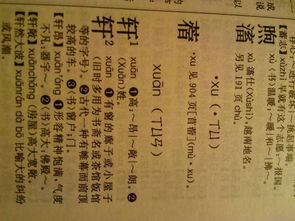 桂姓字辈取名有哪些好名字推荐？