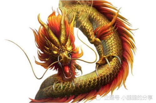 龙女八字生肖命运如何，雾中出生的女孩命运是否可改？