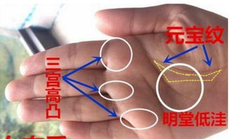 张艺兴手相特点及命格分析有哪些具体表现？