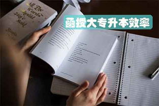 1.1 背景介绍：全球化趋势下跨文化沟通的重要性