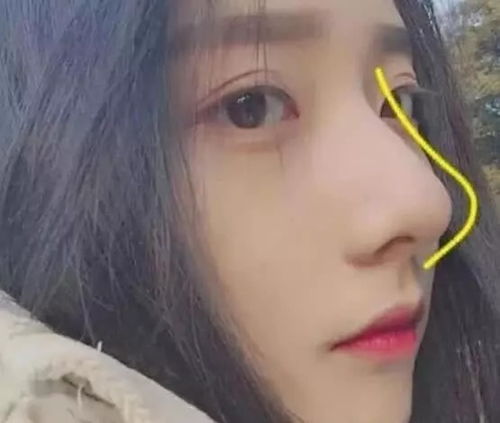 1. 财运决定因素之名词化阐释