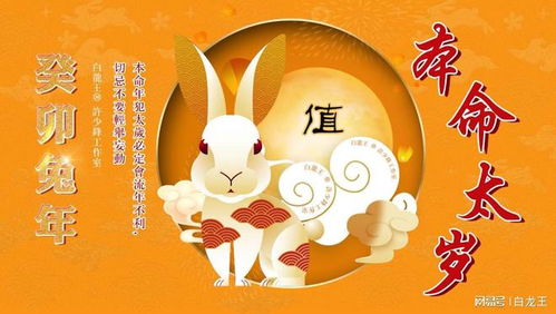 2. 兔（卯）属相——财富有增较长与职场升迁同步推进
