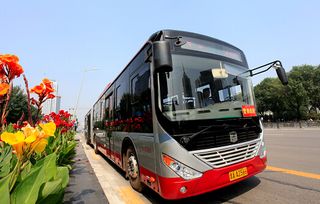 哎呀妈呀！刚下飞机我就懵圈了！这到底是哪儿啊？！