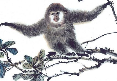 2026年属猴人的爱情和婚姻运势究竟如何？