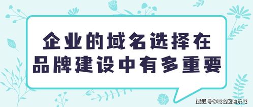域名注册是个大坑！千万别掉进去