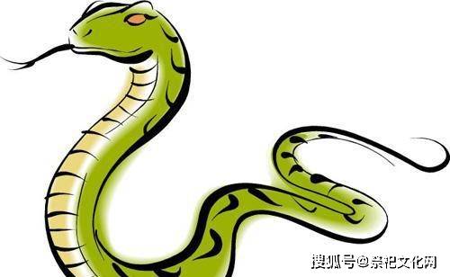 属蛇财运分析吉凶图表大全，晚年财运如何？