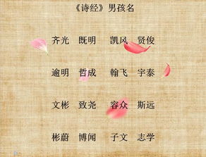 三、诗经楚辞里的宝贝疙瘩