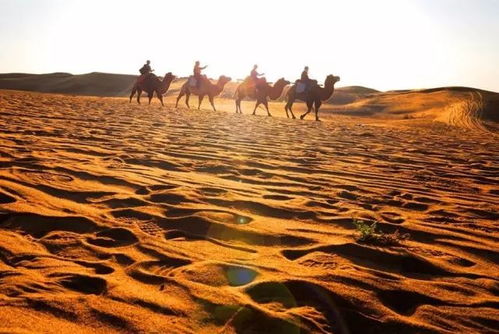 二月，沙漠里的小秘密：你觉对想不到的旅行选择！