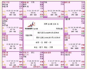 紫微命盘合盘如何测算配偶的年龄？