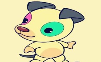 第二名：属狗女