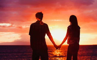 1. 真诚沟通的必要性