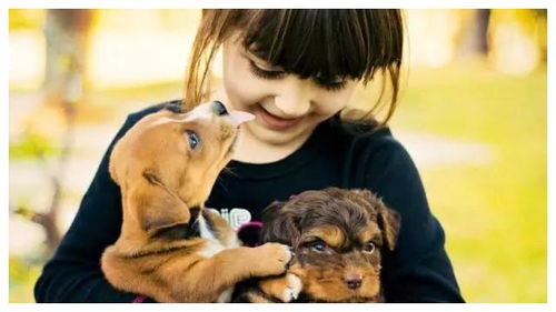 82年狗大海水命女生，改名字是否更符合大海水命特质？