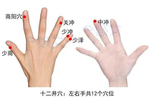 导论：富贵手相六奇纹之学术阐释