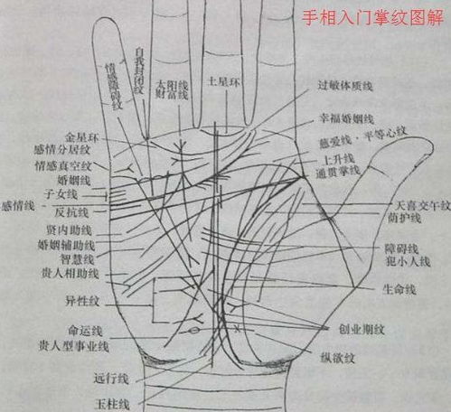 面相、 手相等其他命理特征对婚嫁预测的主观性考量