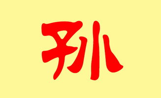 2026年1月出生的宝宝，姓孙，有没有好听的取名建议呢？