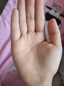 二、 左手视角：未来伴侣的映射