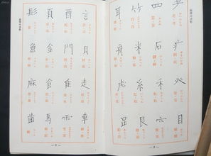 有没有姓张的女孩名字，读音和张字一样？