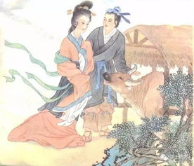 生肖星座视角下的符号阐释
