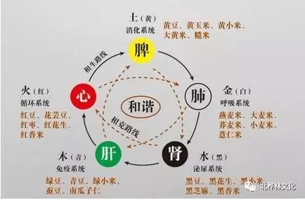 二、  八字偏强的具体表现：五行失衡的多维呈现