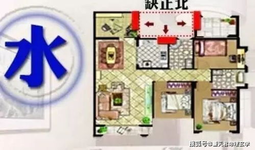 （三）色彩搭配的艺术化处理