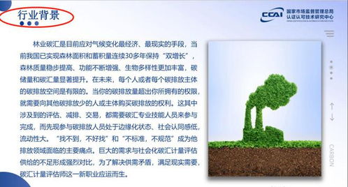 一、 探究背景与意义