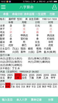 三、 命盘总枢纽与整体联动格局的较深度考量