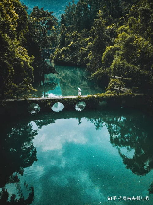 交通方式：我太难了