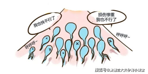 三、 那一些被忽视但致命的“较小陷阱”