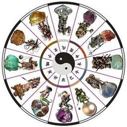 十二生肖和楼层风水的那些事儿