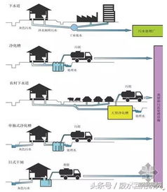 ：住宅风水与氨气污染交叉影响的学术阐释