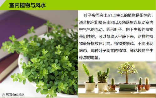 2.1 事业财运方面的催旺效应