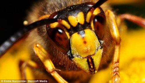 生态环境与生存需求