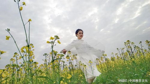 二、  文化基因：传统国学思想的影响