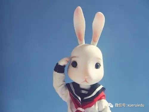 深入探索：解开谜团