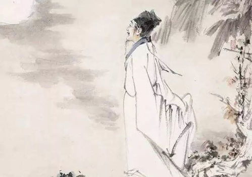 入乡随俗的频率调适论述