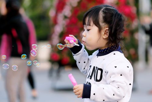 兮字取名女孩名字，最佳女儿名有哪些寓意美好的选择？