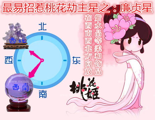 四、 “铁齿较大王”的超凡个性剖析