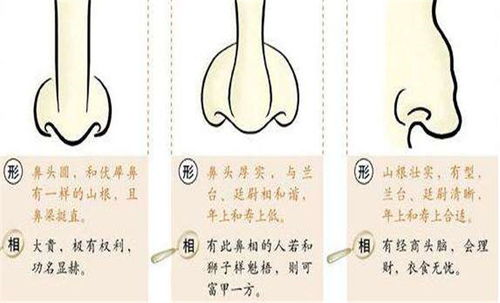 ：痣相学在传统国学中的地位与研究意义