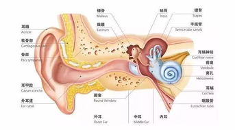 科学研究与民间说法