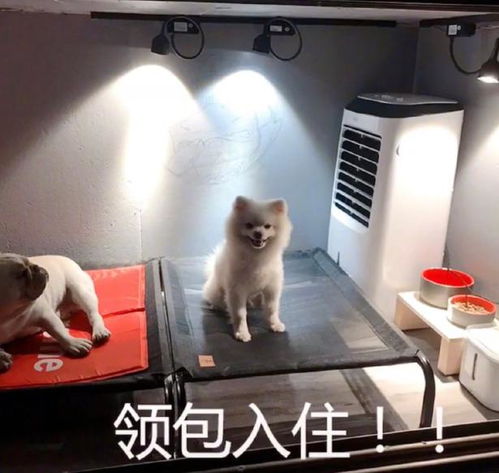 1.1 记忆载体中的时空断层