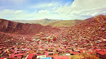 住宿：与蟑螂斗智斗勇