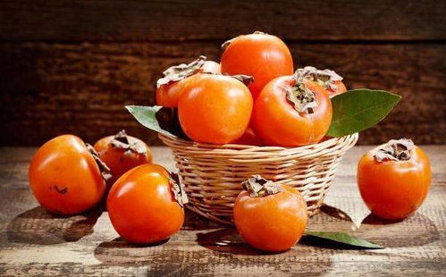 1.1 高蛋白食物：潜在风险及其应对策略