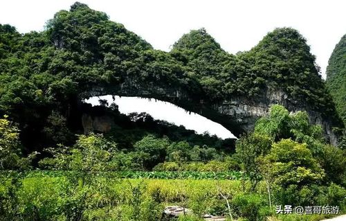 黄江公园：绿意盎然还是杂草丛生？