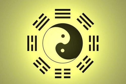 八字水旺缺木对个人运势和性格有哪些具体影响？
