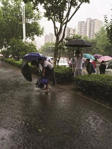 属虎的人买9楼最西户，能否改善楼门口死水风水的布局？