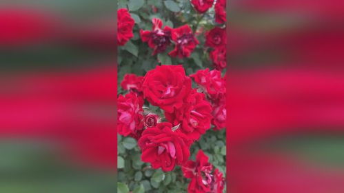 科学？玄学？我选择躺平！