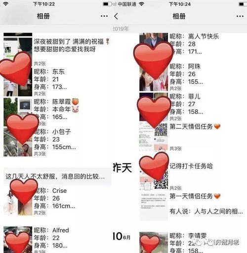 第五章：物质象征与精神承诺的辩证统一