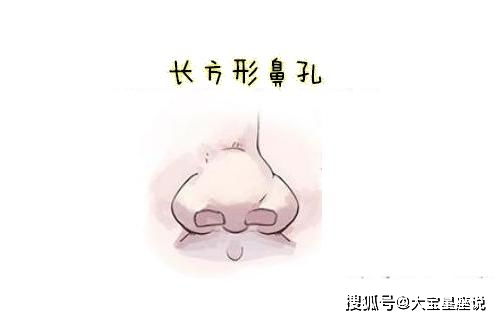 八字形鼻孔有哪些优缺点？